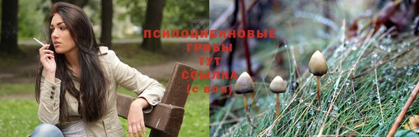 ALPHA-PVP Зеленокумск