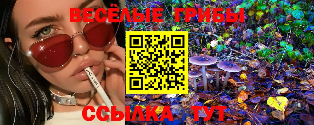 Крымск  Псилоцибиновые грибы Psilocybine cubensis  Вход с VPN 